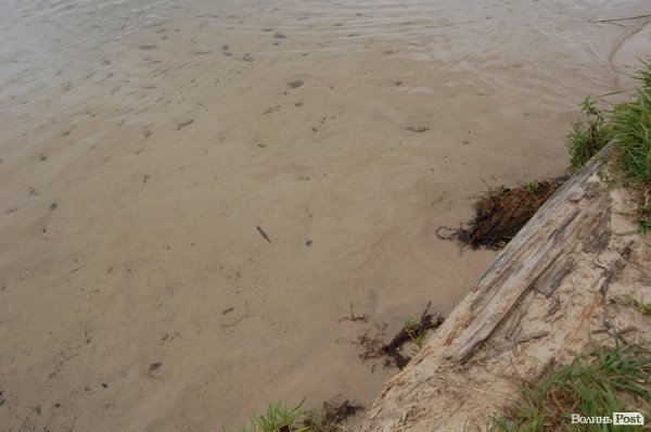 Як відпочивають в університетському таборі на Світязі. ФОТО