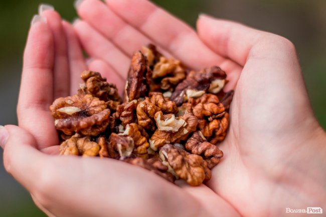 Соковиті й налиті сонцем дарунки осені: що вродило в садах і на городах лучан. ФОТО