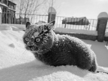 Волинян попередили про різке похолодання