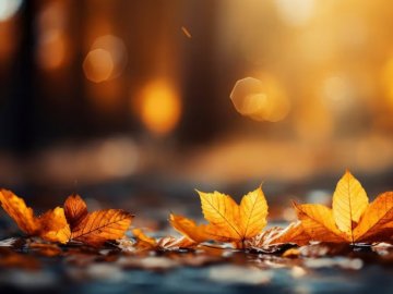 Волинські синоптики розповіли, якою буде погода до кінця вересня