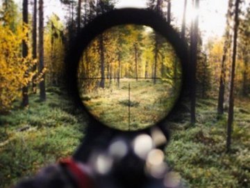 На Волині стартує сезон полювання на пернатих