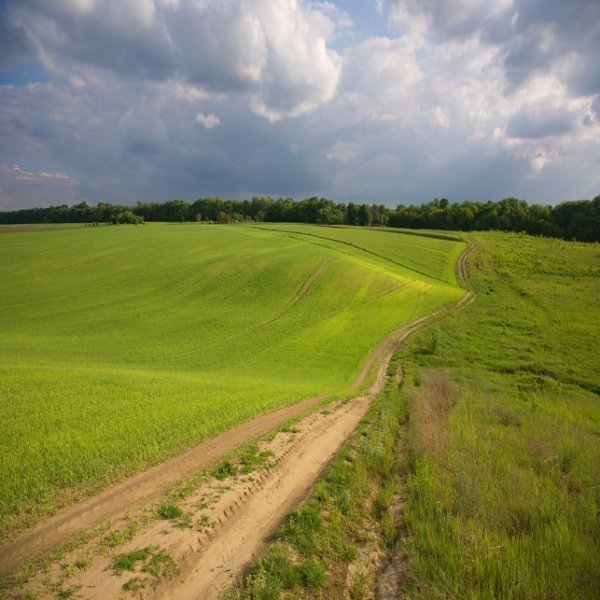 Фотовиставка Тараса Цибуха