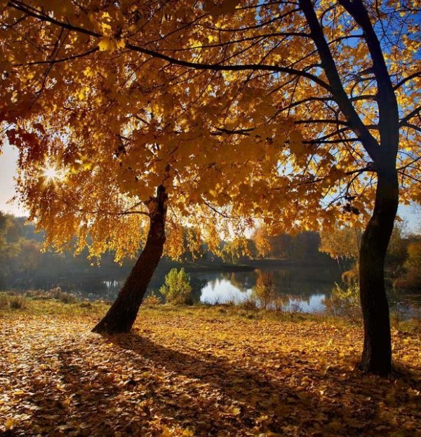 Фотовиставка Тараса Цибуха