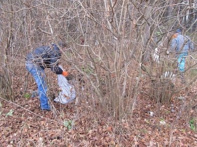 Екологічна толока в Ківерцях. ФОТО