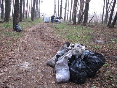 Екологічна толока в Ківерцях. ФОТО