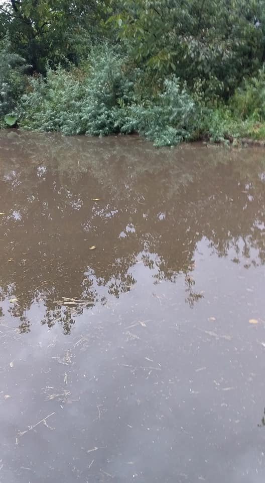 У селищі на Волині через негоду затопило вулицю. ФОТО