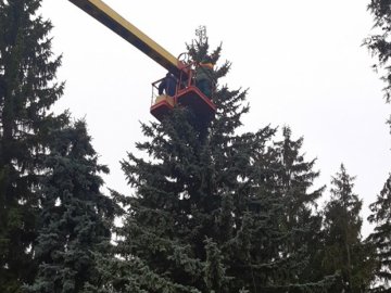 У Рожищі прикрашають головну ялинку міста. ФОТО