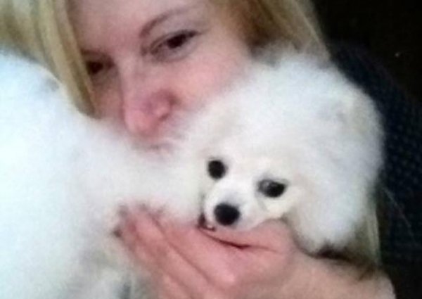 Собачок коханки Януковича утримували за 10 тисяч щомісяця. ФОТО