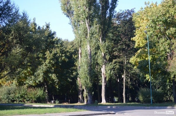 Лучани вдруге вийшли на толоку. ФОТО