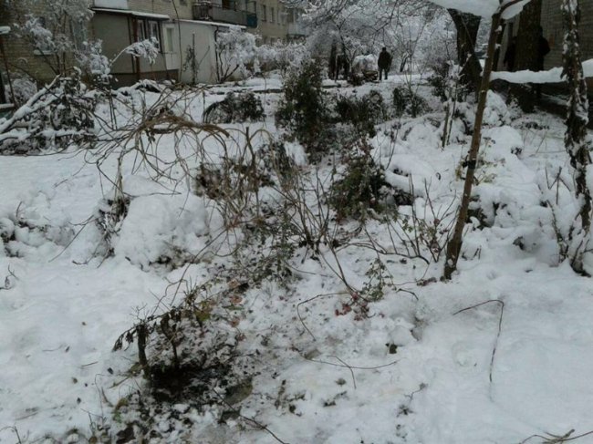 У Луцьку муніципали  «воюють» із незаконними парканами