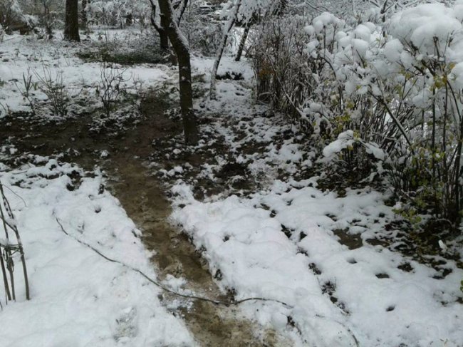 У Луцьку муніципали  «воюють» із незаконними парканами