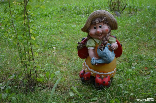 Кращий волинський санаторій: як у сосновому лісі «цвіте» «Пролісок». ФОТО