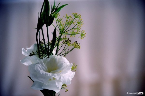 У Луцьку УКРОП представив своїх кандидатів на місцеві вибори. ФОТО