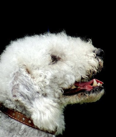 Фотовиставка Павла Березюка