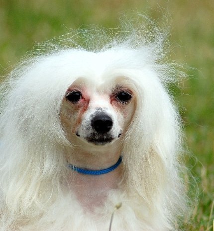 Фотовиставка Павла Березюка