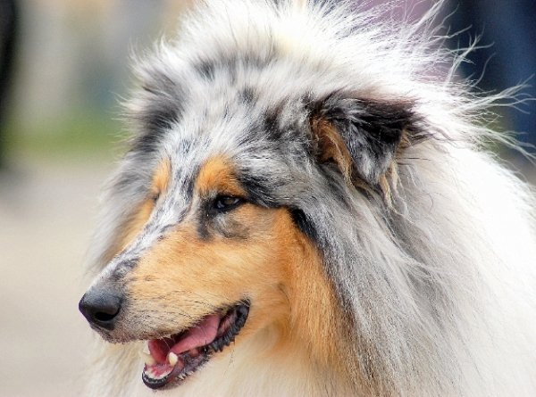 Фотовиставка Павла Березюка