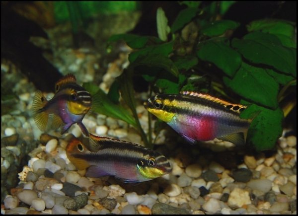 Фотовиставка Павла Березюка