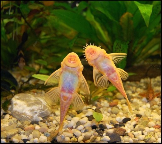 Фотовиставка Павла Березюка