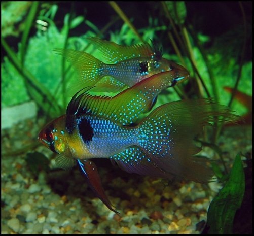 Фотовиставка Павла Березюка