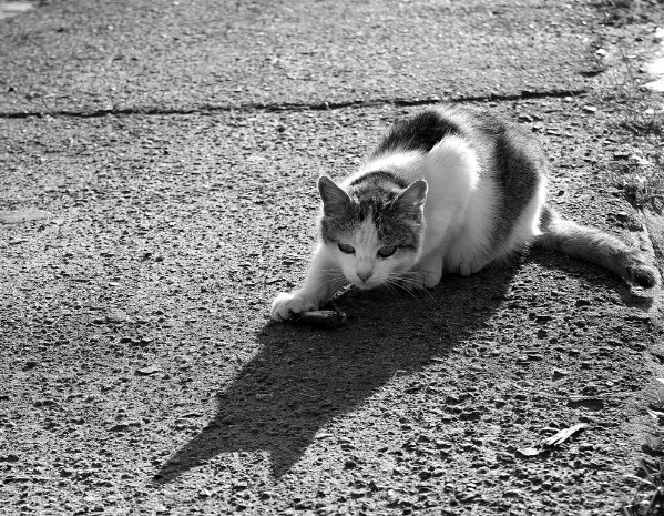 Фотовиставка Павла Березюка