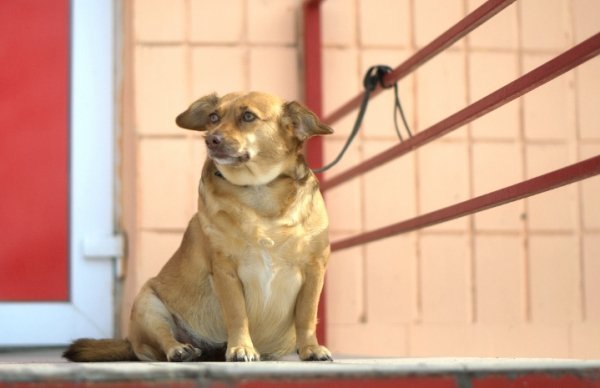 Фотовиставка Павла Березюка