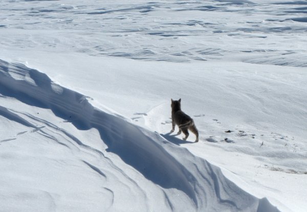 Фотовиставка Павла Березюка