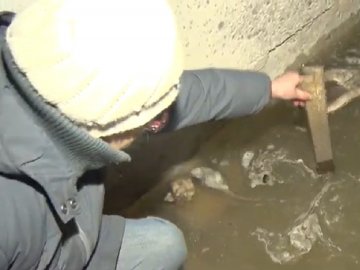 Лучани побачили, що підвал багатоповерхівки затопило, коли вода потекла на вулицю. ВІДЕО