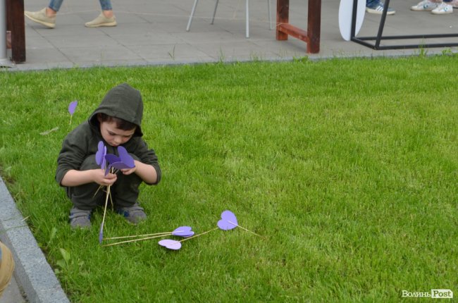 Фестиваль «Мокрі носики» біля луцького «Променя»: як безпритульним пухнастикам шукали дім. ФОТО