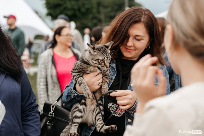 Розкриття таємниці, подарунки та KADNAY «на десерт»: як на «Супернові» веселилися «добрі сусіди». ФОТОРЕПОРТАЖ*