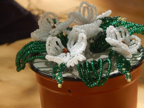 У Луцьку біженцям зібрали речі. ФОТО