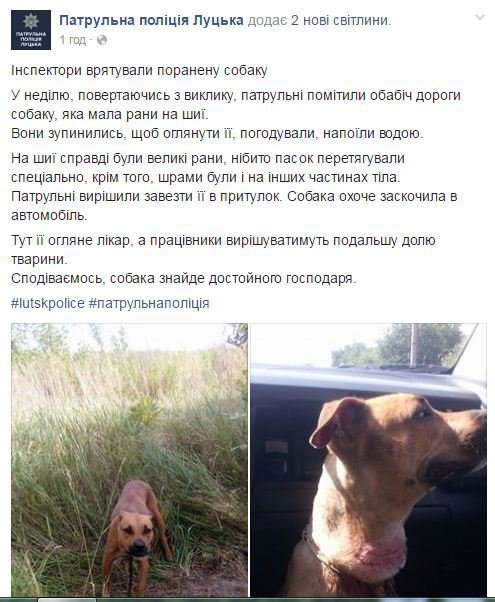 Луцькі патрульні врятували пораненого собаку. ФОТО
