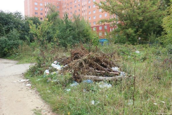 Під вікнами луцької багатоповерхівки ‒ стихійне сміттєзвалище. ФОТО
