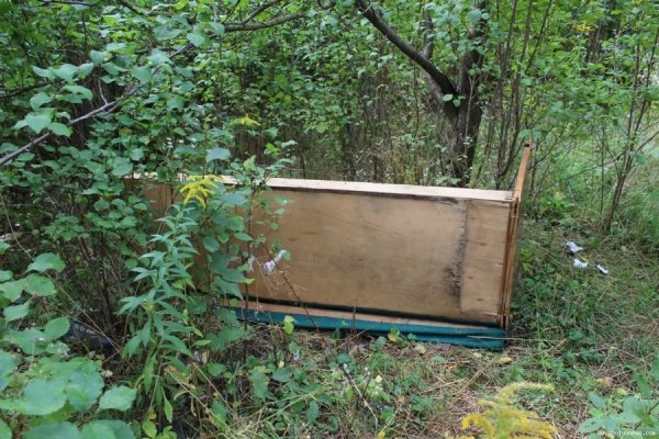Під вікнами луцької багатоповерхівки ‒ стихійне сміттєзвалище. ФОТО