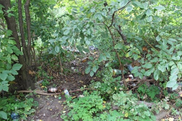 Під вікнами луцької багатоповерхівки ‒ стихійне сміттєзвалище. ФОТО