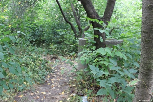 Під вікнами луцької багатоповерхівки ‒ стихійне сміттєзвалище. ФОТО