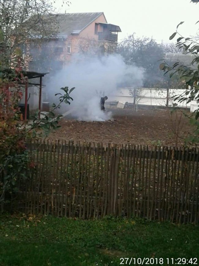 У Луцьку муніципали покарали палія листя. ФОТО