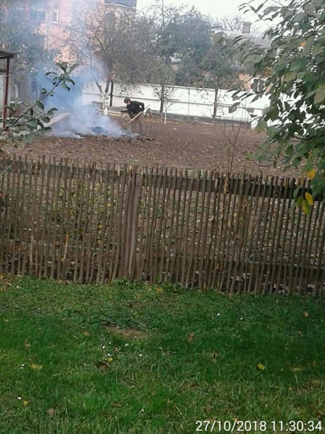 У Луцьку муніципали покарали палія листя. ФОТО