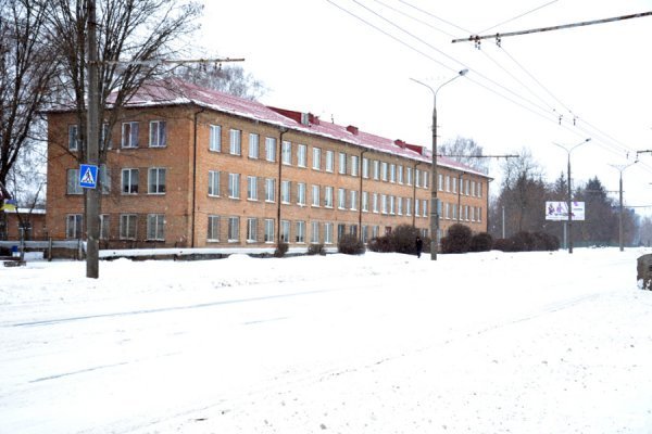 Лютий лютує: фото зими в Луцьку