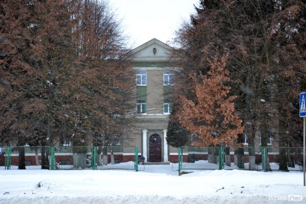 Лютий лютує: фото зими в Луцьку