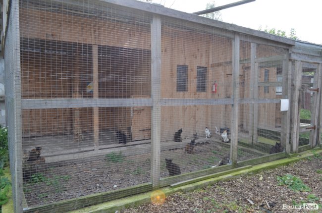 Показали умови, у яких живуть тварини в луцькій «Ласці». ФОТО