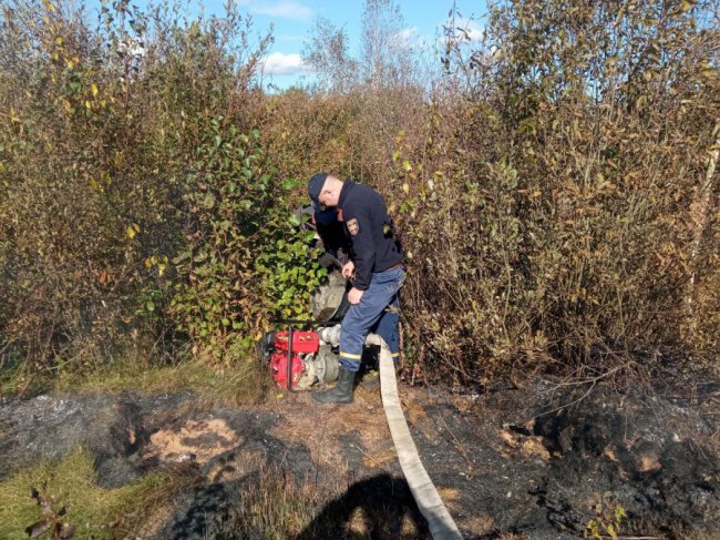 На Волині – масштабна пожежа на торф’янику