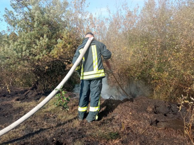 На Волині – масштабна пожежа на торф’янику