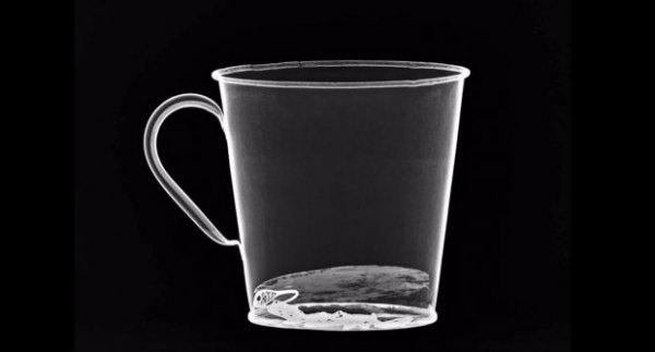 Унікальну знахідку виявили працівники музею «Аушвіц». ФОТО