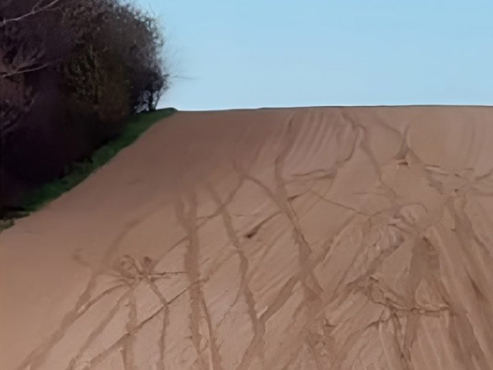 На Волині мотоциклісти понівечили посів цукрового буряка