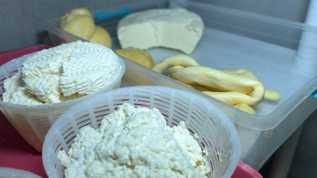 Подружжя на Волині створило «бандерівський сир»