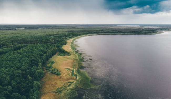Захопливі світлини волинського озера з висоти. ФОТО