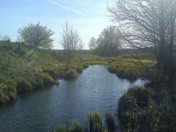 У Луцьку просять дати шанси вижити дикій природі серед урбанізованого середовища