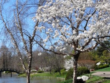 Погода в Луцьку та Волинській області на середу, 25 квітня