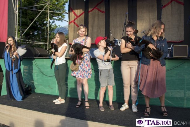 Вусаті та пухнасті: у Луцьку перше влаштували парад чорних котів. ФОТО