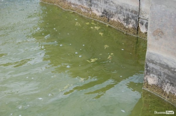 Вода у фонтані - із зеленкуватим відтінком